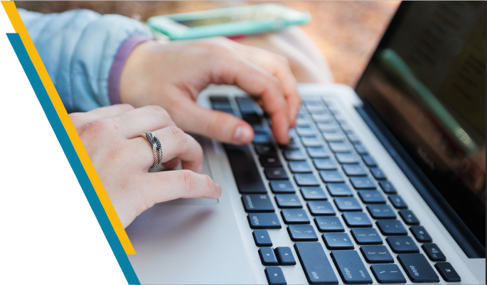 About Lissomsoft Technologies